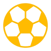 Football icon